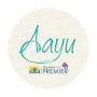 Aayu_Final_Logo_page-0002-removebg-preview